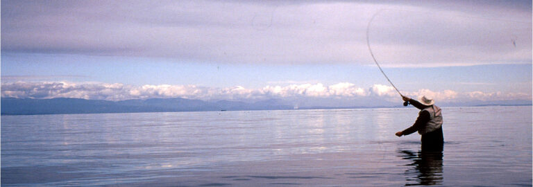 A fly-fisher casts from shore on a calm morning