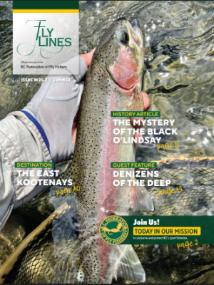 Flylines summer 25